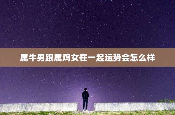 属牛男跟属鸡女在一起运势会怎么样