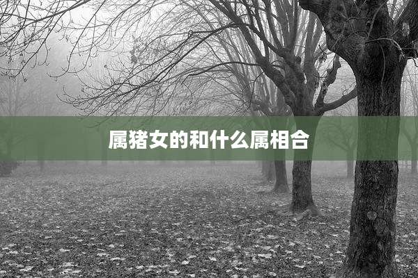 属猪女的和什么属相合