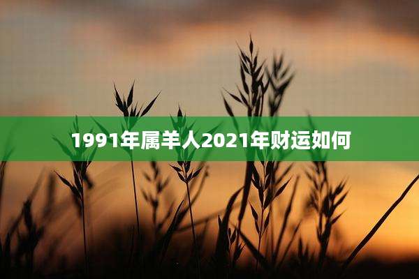 1991年属羊人2021年财运如何