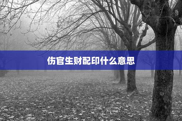 伤官生财配印什么意思