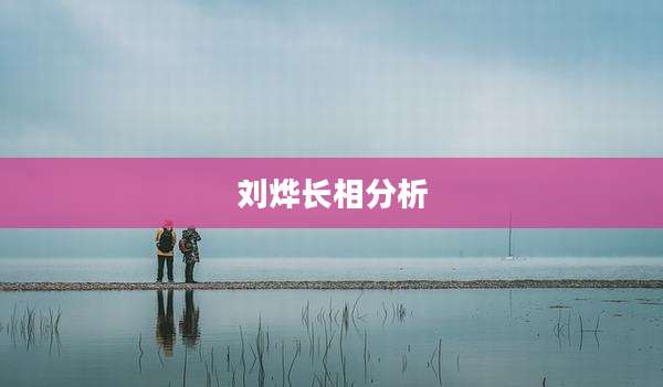 刘烨长相分析