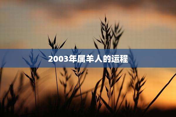 2003年属羊人的运程