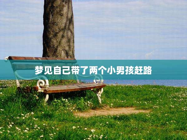 梦见自己带了两个小男孩赶路