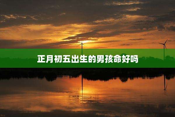 正月初五出生的男孩命好吗