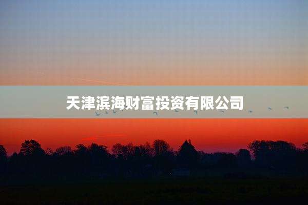天津滨海财富投资有限公司