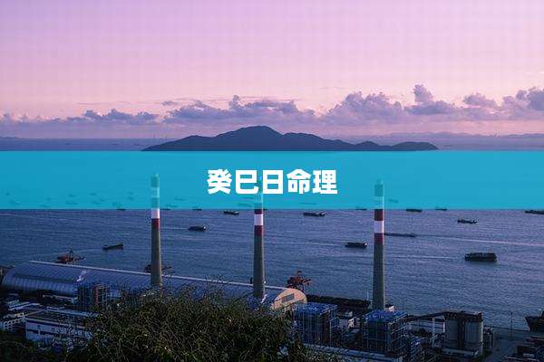 癸巳日命理