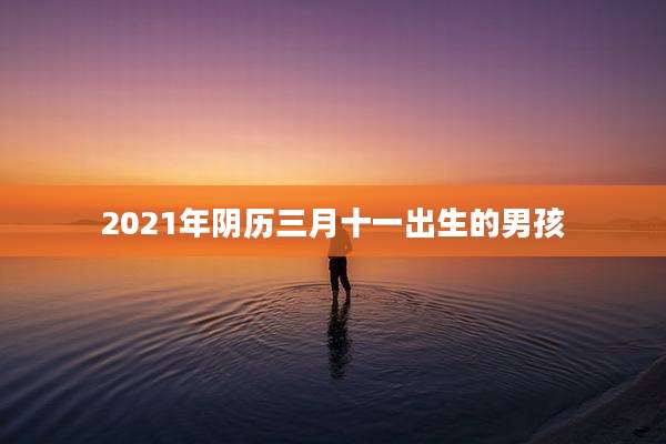 2021年阴历三月十一出生的男孩