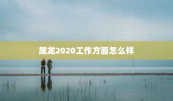 属龙2020工作方面怎么样