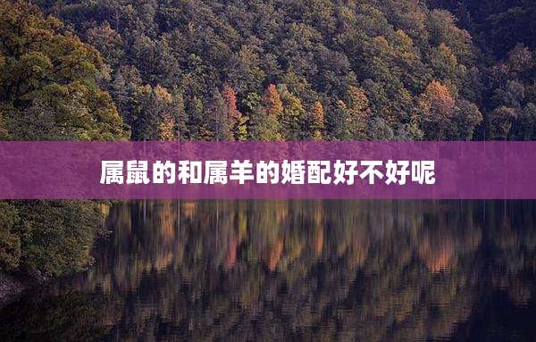 属鼠的和属羊的婚配好不好呢