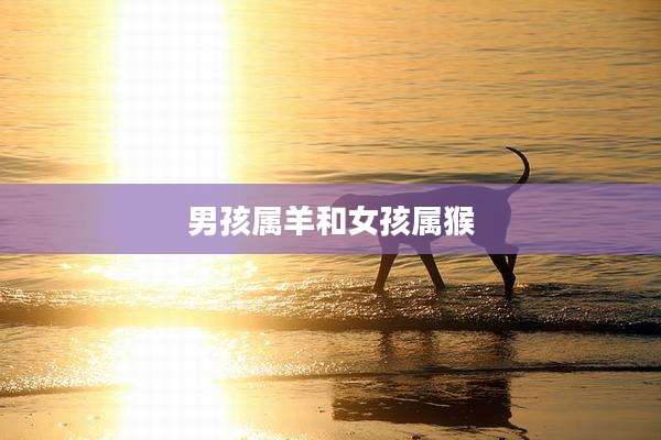 男孩属羊和女孩属猴