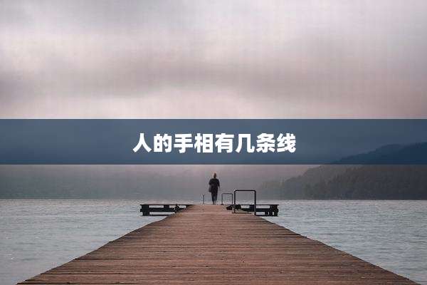 人的手相有几条线