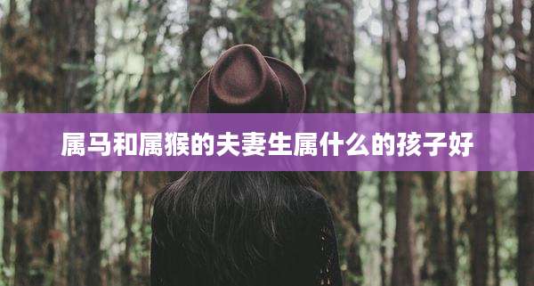 属马和属猴的夫妻生属什么的孩子好