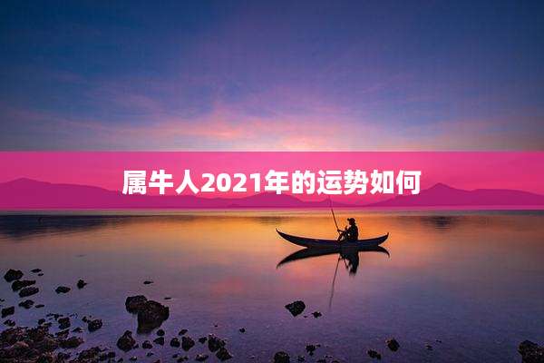属牛人2021年的运势如何