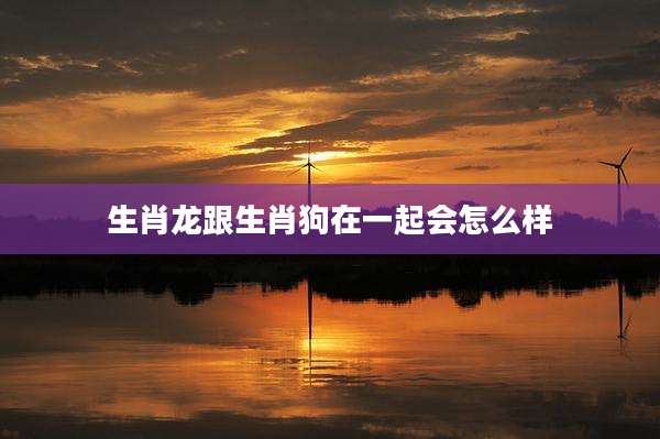 生肖龙跟生肖狗在一起会怎么样