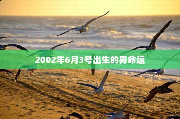 2002年6月3号出生的男命运