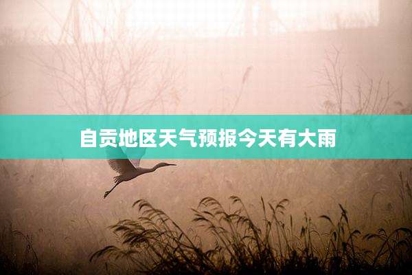 自贡地区天气预报今天有大雨