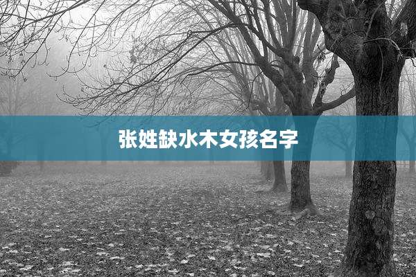 张姓缺水木女孩名字