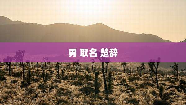 男 取名 楚辞