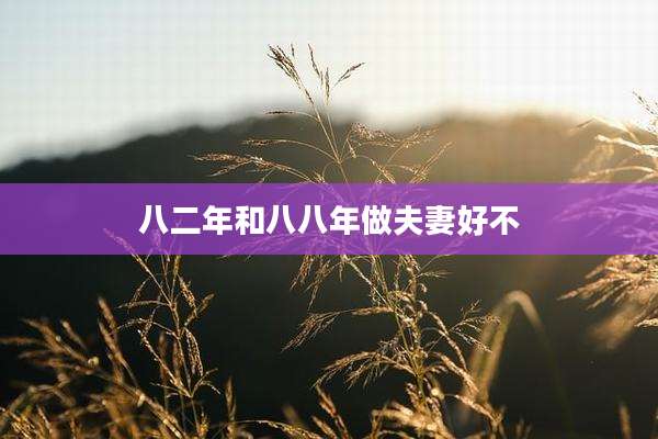八二年和八八年做夫妻好不
