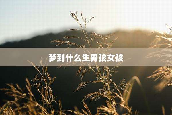 梦到什么生男孩女孩