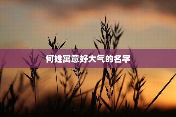 何姓寓意好大气的名字