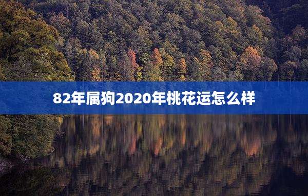 82年属狗2020年桃花运怎么样