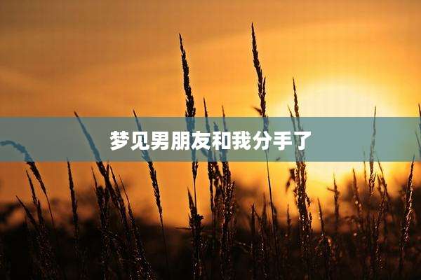 梦见男朋友和我分手了