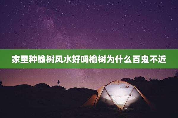 家里种榆树风水好吗榆树为什么百鬼不近