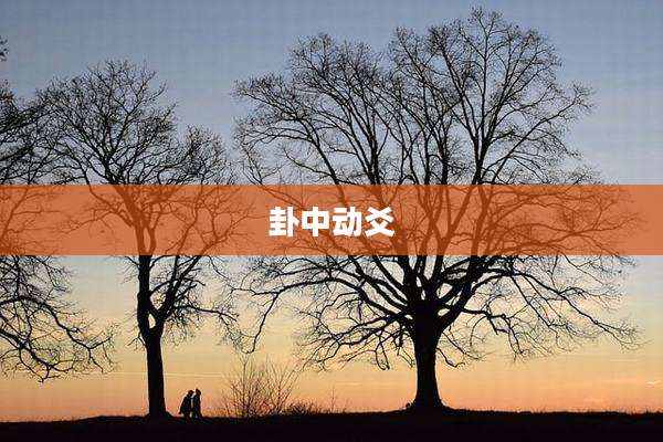 卦中动爻