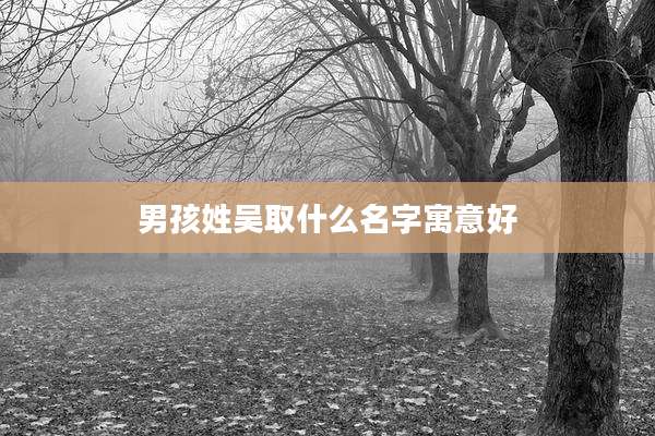 男孩姓吴取什么名字寓意好