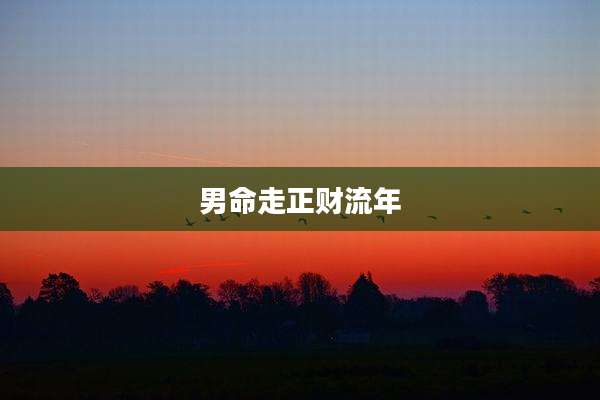 男命走正财流年