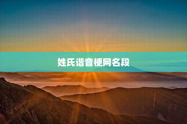 姓氏谐音梗网名段