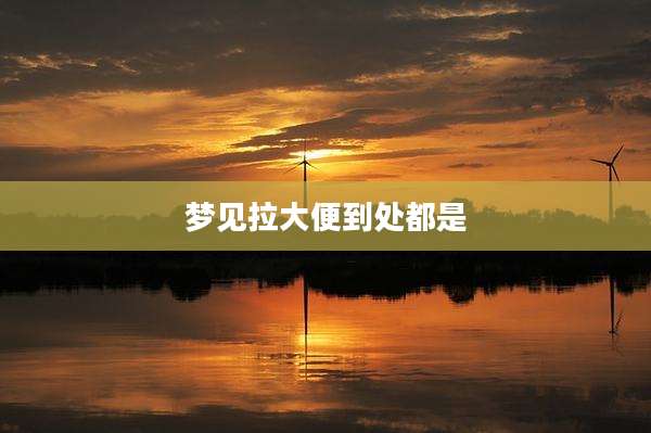 梦见拉大便到处都是