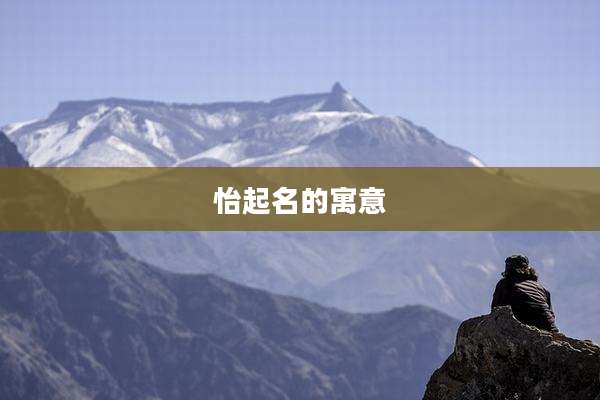 怡起名的寓意
