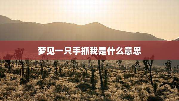 梦见一只手抓我是什么意思