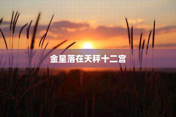 金星落在天秤十二宫