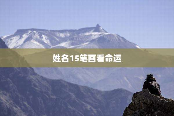 姓名15笔画看命运