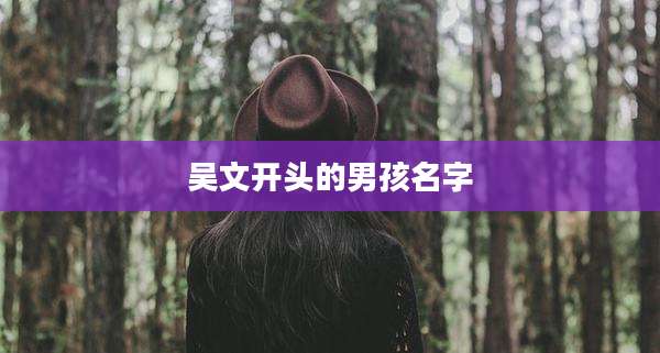 吴文开头的男孩名字