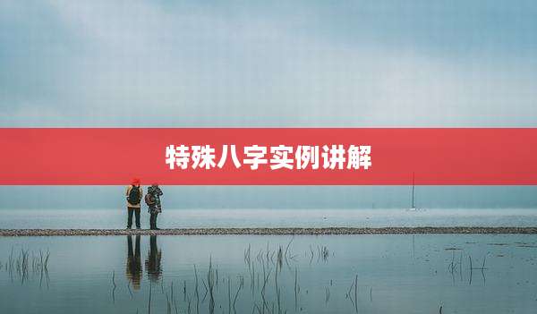 特殊八字实例讲解