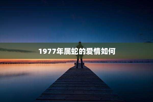 1977年属蛇的爱情如何