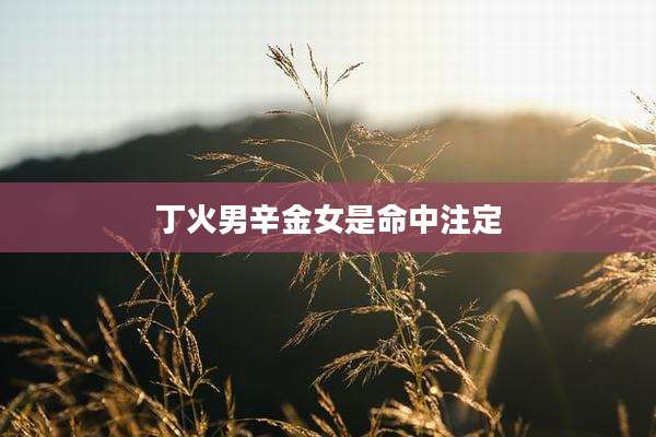 丁火男辛金女是命中注定