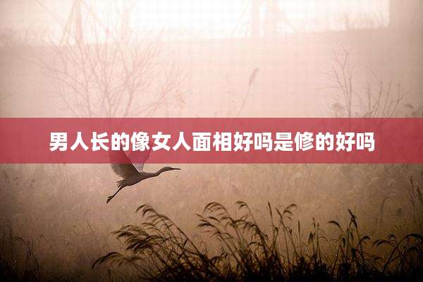 男人长的像女人面相好吗是修的好吗