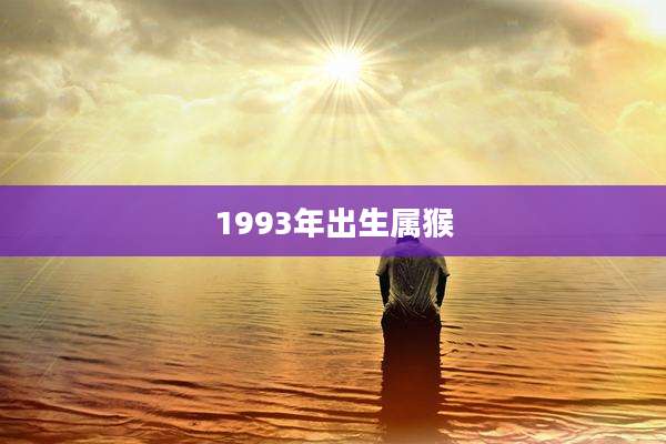 1993年出生属猴