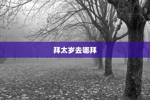 拜太岁去哪拜