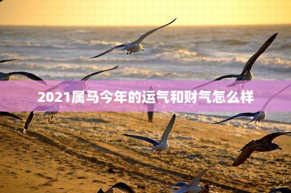 2021属马今年的运气和财气怎么样
