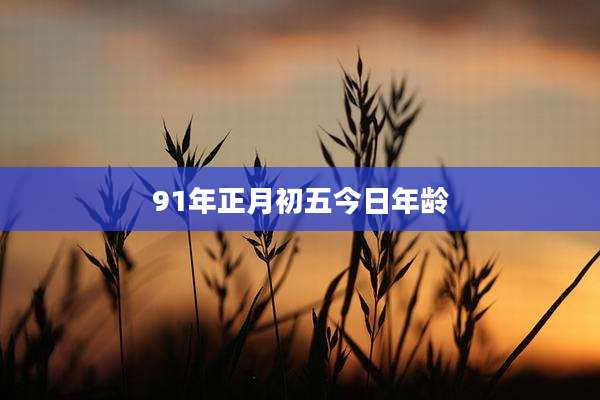 91年正月初五今日年龄
