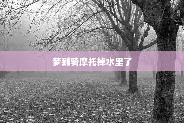 梦到骑摩托掉水里了