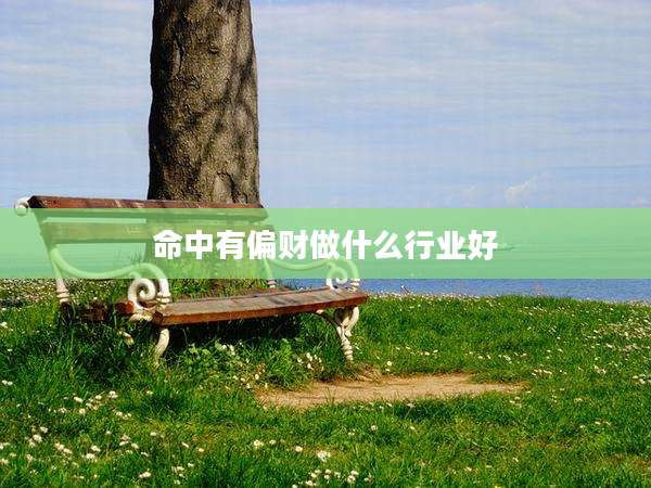 命中有偏财做什么行业好