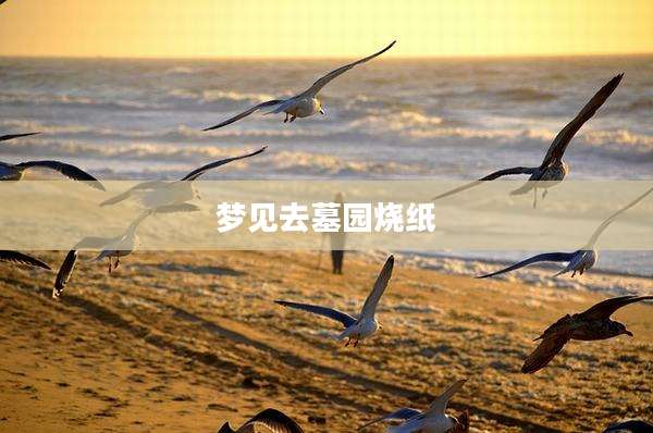 梦见去墓园烧纸