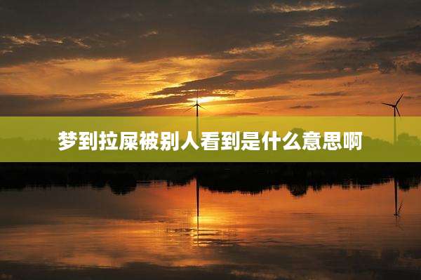 梦到拉屎被别人看到是什么意思啊